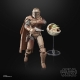 Star Wars The Mandalorian Black Series - Figurine 2021 The Mandalorian & Grogu (Arvala-7) 15 cm