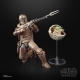 Star Wars The Mandalorian Black Series - Figurine 2021 The Mandalorian & Grogu (Arvala-7) 15 cm