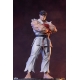 Street Fighter - Statuettes 1/10 Ryu & Dan 18 cm