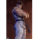 Street Fighter - Statuettes 1/10 Ryu & Dan 18 cm