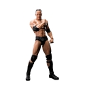 Catch WWE - Figurine S.H. Figuarts The Rock 16 cm