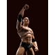 Catch WWE - Figurine S.H. Figuarts The Rock 16 cm