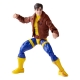 X-Men: The Animated Series Marvel Legends - Figurine Morph 15 cm