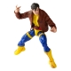 X-Men: The Animated Series Marvel Legends - Figurine Morph 15 cm