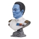 Star Wars : Ahsoka Legends in 3D - Buste 1/2 Grand Admiral Thrawn 25 cm