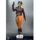 Star Wars : Ahsoka - Figurine 1/6 Hera Syndulla 28 cm