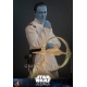 Star Wars : Ahsoka - Figurine 1/6 Grand Admiral Thrawn 32 cm