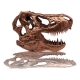 Jurassic Park - Réplique mini T-Rex Skull 10 cm