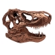 Jurassic Park - Réplique mini T-Rex Skull 10 cm