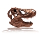 Jurassic Park - Réplique mini T-Rex Skull 10 cm