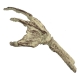 Universal Monsters - Mini réplique Fossilized Creature Hand 18 cm