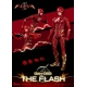 The Flash - Figurine Dynamic Action Heroes 1/9 The Flash 24 cm