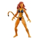 Marvel Legends - Pack 5 figurines The West Coast Avengers Exclusive 15 cm