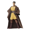 Star Wars : The Acolyte Black Series - Figurine Jedi Knight Yord Fandar 15 cm