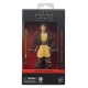 Star Wars : The Acolyte Black Series - Figurine Jedi Knight Yord Fandar 15 cm