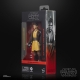 Star Wars : The Acolyte Black Series - Figurine Jedi Knight Yord Fandar 15 cm