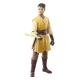 Star Wars : The Acolyte Black Series - Figurine Jedi Knight Yord Fandar 15 cm