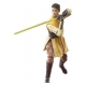 Star Wars : The Acolyte Black Series - Figurine Jedi Knight Yord Fandar 15 cm