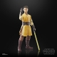 Star Wars : The Acolyte Black Series - Figurine Jedi Knight Yord Fandar 15 cm