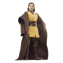 Star Wars : The Acolyte Black Series - Figurine Jedi Master Sol 15 cm