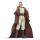 Star Wars : The Acolyte Black Series - Figurine Jedi Master Indara 15 cm