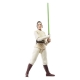 Star Wars : The Acolyte Black Series - Figurine Jedi Master Indara 15 cm