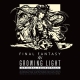 Final Fantasy - Growning Light: Final Fantasy XIV CD & Blu-ray musique Original Soundtrack (1 CD/Blu-ray)