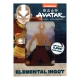 Avatar, le dernier maître de l'air - Lingot Aang Limited Edition