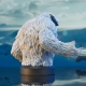 Star Wars Episode V - Buste 1/6 Wampa 19 cm