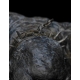 Le Seigneur des Anneaux - Statuette Cave Troll 16 cm