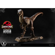 Jurassic Park - Statuette Prime Collectibles 1/10 Velociraptor Open Mouth 19 cm