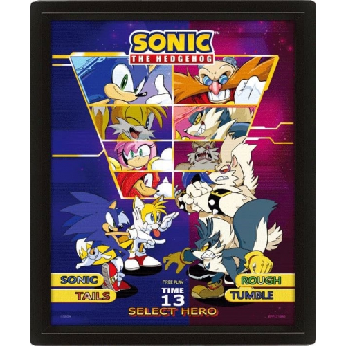 Sonic The Hedgehog - Poster encadré effet 3D Select Your Fighter 26 x 20 cm