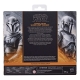 Star Wars : The Mandalorian Black Series - Pack 2 figurines Mandalorian Shriek-Hawk Trainers 15 cm