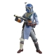 Star Wars : The Mandalorian Black Series - Pack 2 figurines Mandalorian Shriek-Hawk Trainers 15 cm