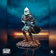 Star Wars : The Clone Wars - Statuette 1/7 Hawkbat Battalion Clone Trooper 2019 Premier Guild Membership Gift 25 cm