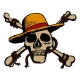 One Piece - Médaillon Jolly Roger Limited Edition