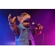 Alf - Figurine Ultimate Born to Rock Alf 18 cm