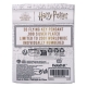 Harry Potter - Pendentif et collier Flying Key