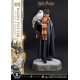 Harry Potter - Statuette Prime Collectibles 1/6 Harry Potter avec Hedwig 28 cm