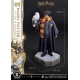 Harry Potter - Statuette Prime Collectibles 1/6 Harry Potter avec Hedwig 28 cm