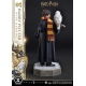 Harry Potter - Statuette Prime Collectibles 1/6 Harry Potter avec Hedwig 28 cm