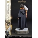 Harry Potter - Statuette Prime Collectibles 1/6 Harry Potter avec Hedwig 28 cm