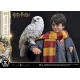 Harry Potter - Statuette Prime Collectibles 1/6 Harry Potter avec Hedwig 28 cm