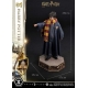 Harry Potter - Statuette Prime Collectibles 1/6 Harry Potter 28 cm