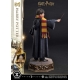 Harry Potter - Statuette Prime Collectibles 1/6 Harry Potter 28 cm