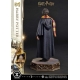 Harry Potter - Statuette Prime Collectibles 1/6 Harry Potter 28 cm