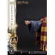 Harry Potter - Statuette Prime Collectibles 1/6 Harry Potter 28 cm