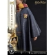 Harry Potter - Statuette Prime Collectibles 1/6 Harry Potter 28 cm