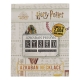 Harry Potter - Pendentif et collier Azkaban