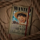 One Piece - Carnet Wanted Posters